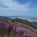 흥국사길 이미지