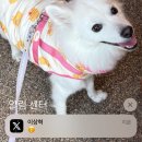 전주북페어에 다녀왔습니다 🤭