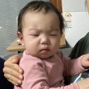 아바헬스 이미지