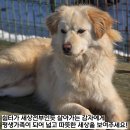 주양쉼터 Daum카페