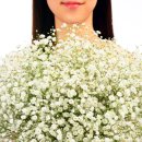 무비뱅크 이미지