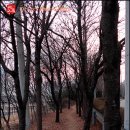 도심산책 이미지