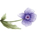 강서YD동물의료센터 이미지