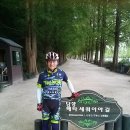 섬진강종주3 이미지