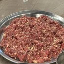 통통장어 이미지