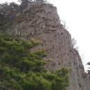의성 금성산,비봉산 - 산수유 축제- 풍산금속 벚꽃-4 이미지