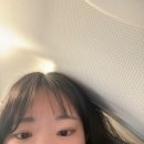 쿠마쿠마 엔 김밥 | 나혼자 후코콰 첫째날✈️