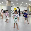 국가대표 삼성태권도장 이미지