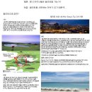 헤어자키 Daum카페