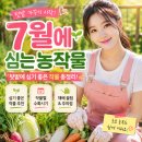 채소작물 재배업 | 7월에심는농작물 총정리｜텃밭에 심기 좋은 작물과 수확시기, 주의점까지