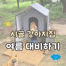바람난강아지 - 남구 천변좌로 394-1 | 시골 강아지집 새 단장ㅣ여름 장마 대비 준비, 추천템과 후기