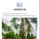 서해항공여행사