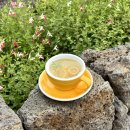 카페인생이야기 | 제주 감성 가득 인생샷 가능한 &lt;이더리카페&gt; 내돈내산 후기