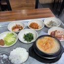 [4월 작업 나들이] 손유나클리닉 매직캣 팔뚝살 상담 후기 + 압구정&amp;군포 맛집 탐방...