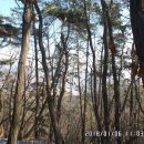 청미천 5 이미지