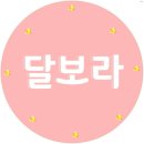 별보라 이미지