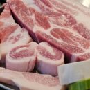 특수고기 이미지