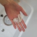 댕글멍글 이미지