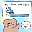 합성동356 | MEGII’s 일주일 내내 약속있던 12월2주