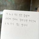 리오 PC방 | [25.08] 도시락 덕에 요리실력이 향상되는 사람의 일상