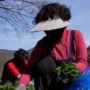 명이농장 이미지