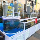 주정차단속-113 이미지