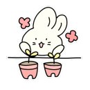 구름 펫 살롱 이미지