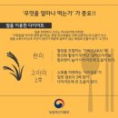 금탑가바