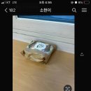 미로상회 이미지