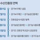 강화쑥쑥 이미지