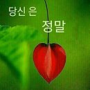 드림체험학습장