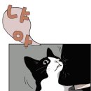 세화사 이미지