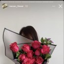 리젠플라워 이미지