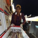 뉴코스모스호 1 이미지