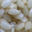 약토