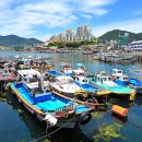 백야선착장 화장실 티스토리