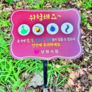 서도보건진료소 네이버블로그