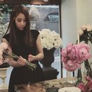 카타리나플라워 이미지