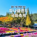 충남 국화꽃 가을축제=피나클랜드억만송이국화축제=9월13일~11월30일 이미지