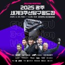 스카이 당구 네이버블로그