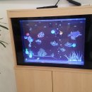 갈매아이웰소아청소년과의원 이미지