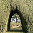 물소리N | [스페인 그라나다] 알함브라 궁전 입장권 예약 꿀팁 &amp; 투어 후기 (감성 사진 많음)