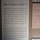 학마을서해아파트 앞(중앙아파트 방면) | 서울역사박물관, 미증유(未曾有)의 대홍수: 1925년 을축년, 기획전