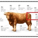 아이디얼푸드 이미지