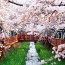 첨성대스파랜드 | 3월 가족 국내여행 추천지 BEST 5