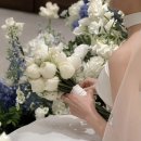 서울화원 | [아이폰스냅] 비밀의화원 계약후기♡ (더베뉴지서울/베뉴지홀) +짝꿍할인