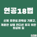 면역력의 창조