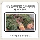 화성임목