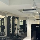 일생의 피티 이미지