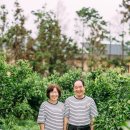 귤꽃스테이 이미지